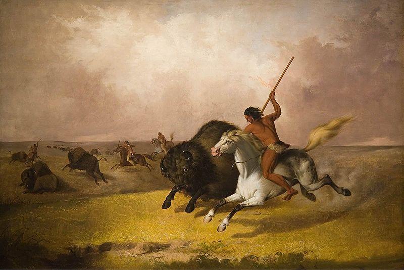  Buffalo Hunt on the Southwestern Prairies
